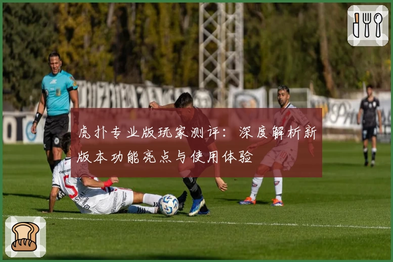 虎扑专业版玩家测评:深度解析新版本功能亮点与使用体验