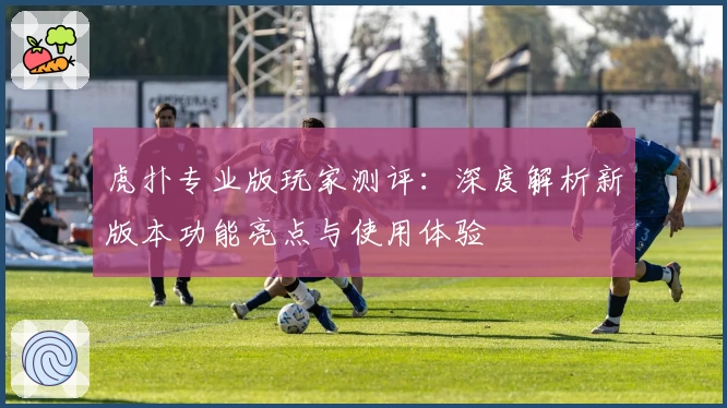 虎扑专业版玩家测评:深度解析新版本功能亮点与使用体验