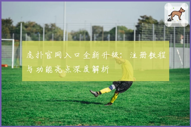 虎扑官网入口全新升级：注册教程与功能亮点深度解析